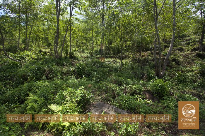 10 Ropani land on sale Ranipauwa, Kakani - Nuwakot