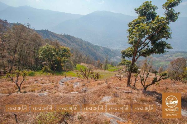 12 Ropani land for sale Kabilash, Nuwakot.