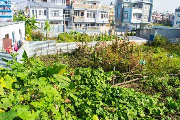 4 aana plotted land for sale Balkot Bhaktapur