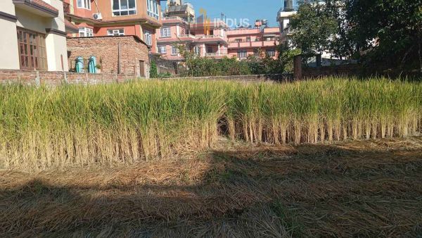 Land on sale at Lokanthali, Bhaktapur