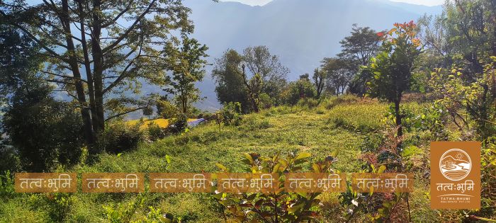7 Ropani Land On Sale at Karki Dara, Nuwakot
