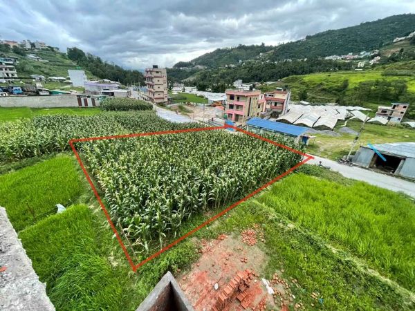 Land for sale in dadapauwa ramkot, south facing, (0-8-2-1), per anna 34.5 lakhs, 20ft black topped road access, Negotiable.