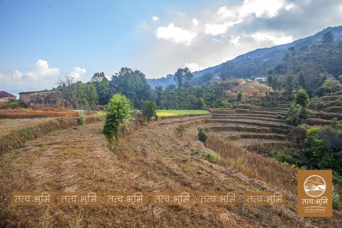 73 Ropani Land On Sale at KhariBhanjyang , Nuwakot