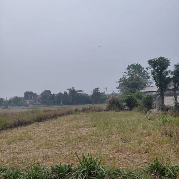 Land on sell 