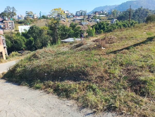 22 Lakh/Anna . total land 4 Anna.lubu ko last ma lamatar starting ma.