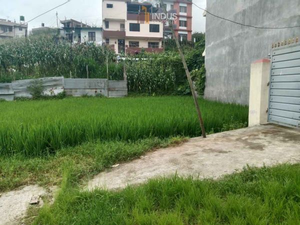 Land on sale at Thaiba, Lalitpur Land on sale at Thaiba, Lalitpur