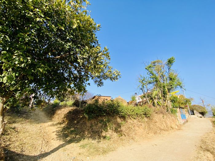 Land for sale in Dhapakhel Lalitpur