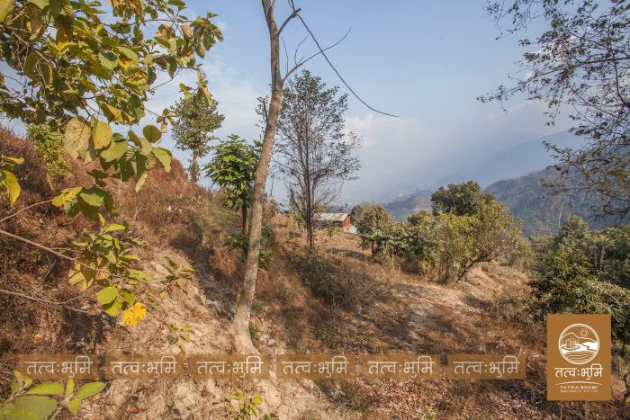 6 Ropani land on sale Lamagau, Kakani - Nuwakot.