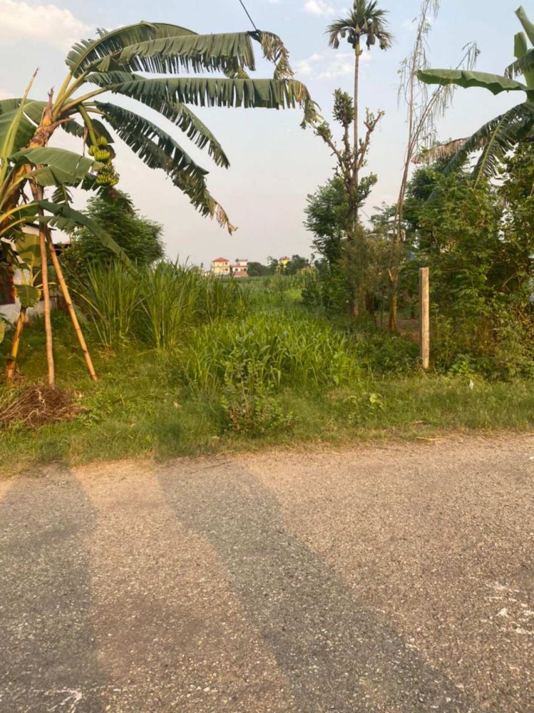 Land for sale in Ratnanagar  12 Chitwan