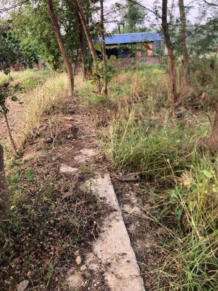 Land is sale in BUTWOL( Rupandehi district). 1 kattha 14 dhoor.