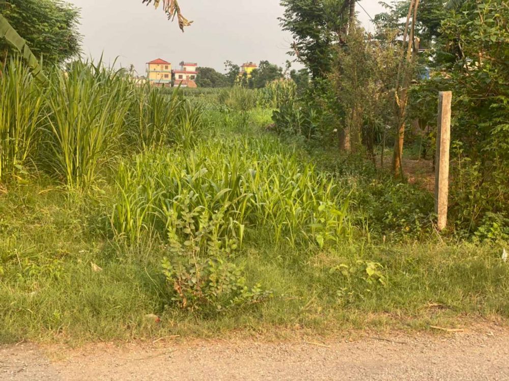 Land for sale in Ratnanagar  12 Chitwan