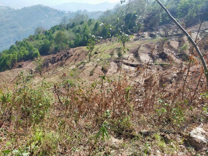 25 Ropani land for sale in Shivapuri facing north