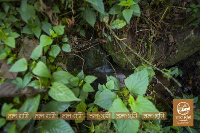 6 Ropani land on sale in Pudibhanjyag, Nuwakot