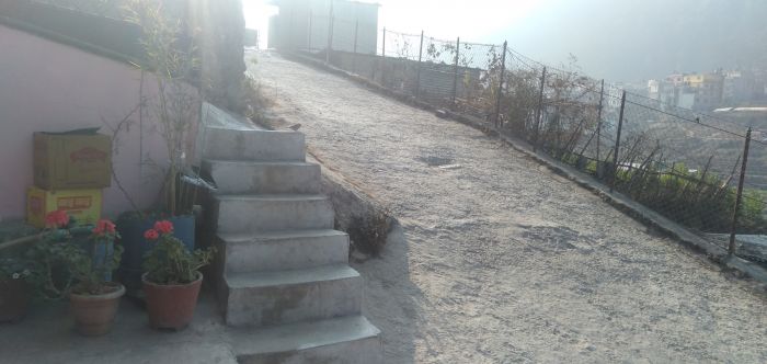 Balaju lolang hight tarkari baza 