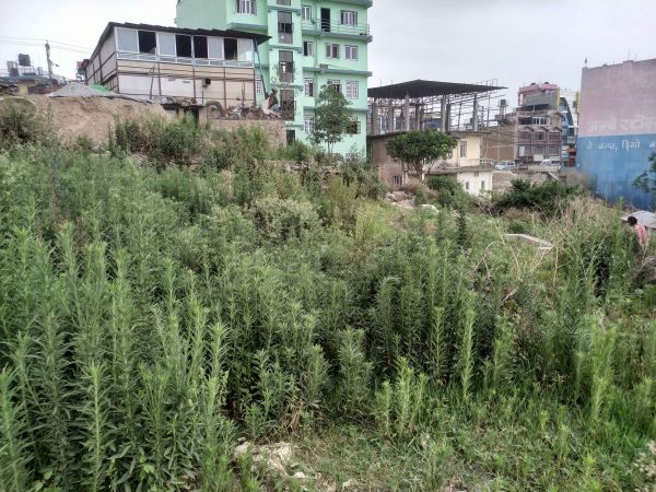 6 aana land sale in Imadol