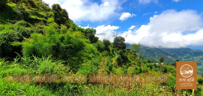 11 Ropani land on sale Ranipauwa, Kakani - Nuwakot