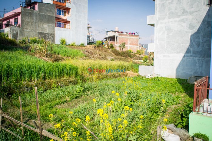 5 anna land for sale in Basbari 7 Changunarayan Bhaktapur