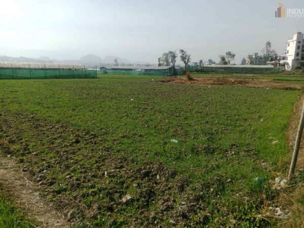 Land On Sale at sanagau, Lalitpur