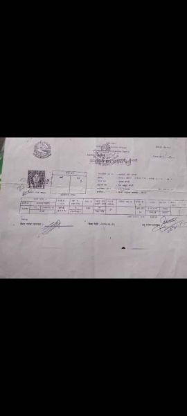 Dhangadhi, kailali jai,  