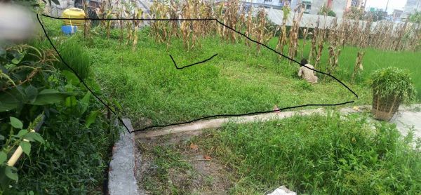 3 aana cheap land for sale in Lubhu Lalitpur 3 aana cheap land for sale in Lubhu Lalitpur