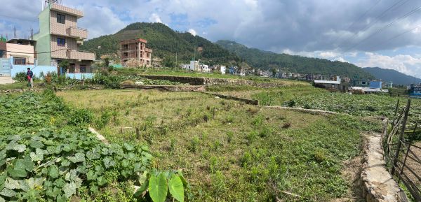 Emergency sale due to bank lone within a month