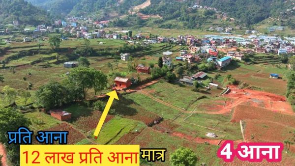Land on sell Land on sell