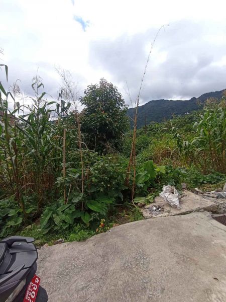 Land On Sale At Budhanilkantha