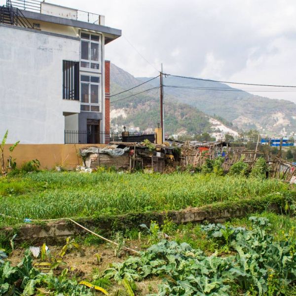 5 aana plotted land for sale in Tarakeshwar Chisapani