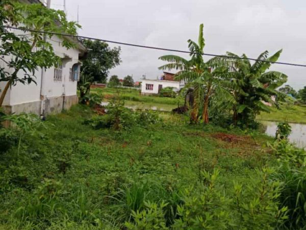 Land for Sale - Surunga, Jhapa; 1 Kattha @ 68.5 Lakh