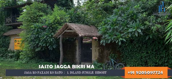 14.5 Katta, Devchuli, Bliss Garden, Island Jungle Resort ko Near
