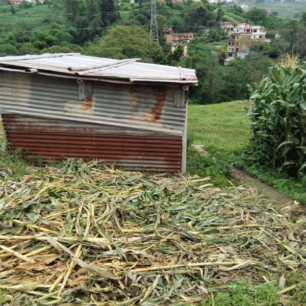 6.5 Anna land for sale in kirtipur 