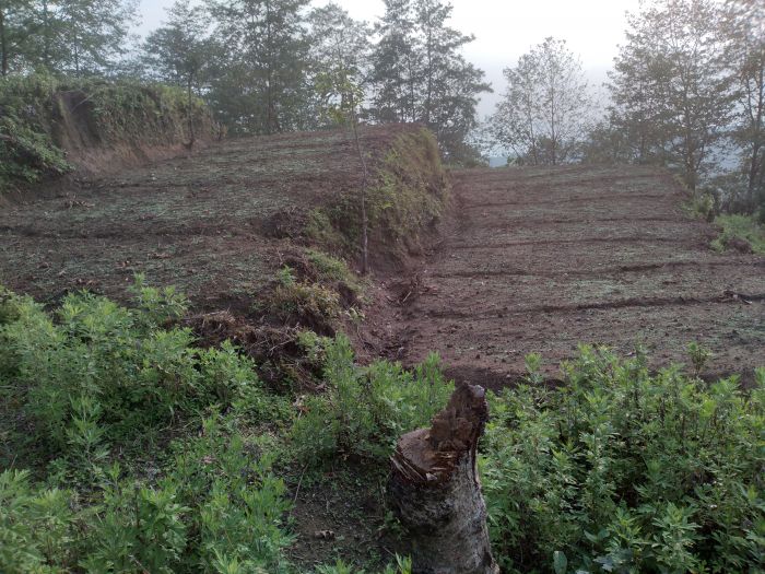 17 ropani land on sale at shivapuri peak baskote gau