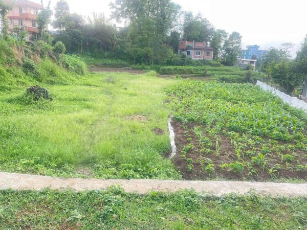 Cheap 22Aana Flat Land sale at Near Muktinath Temple only 13Lakh/Aana, Contact 9860058707