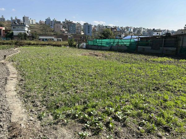 'URGENT' LAND FOR SALE AT CHEAP PRICE