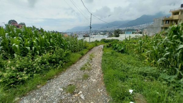 4 aana land for sale in Dahachowk height 