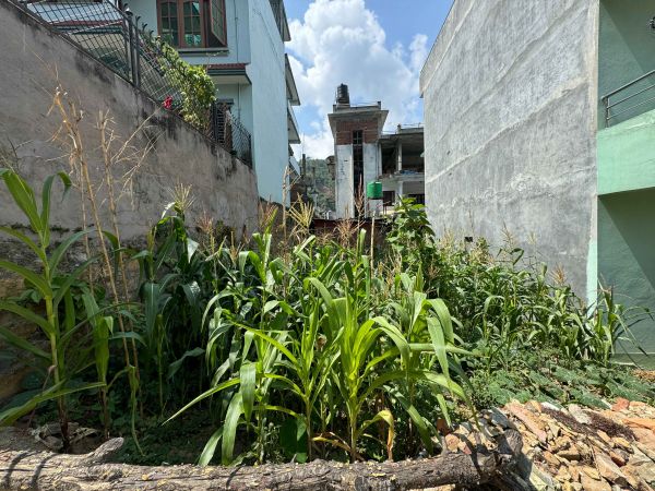 Residential Land on Sell at ThuloBharyang, KTM Residential Land on Sell at ThuloBharyang, KTM