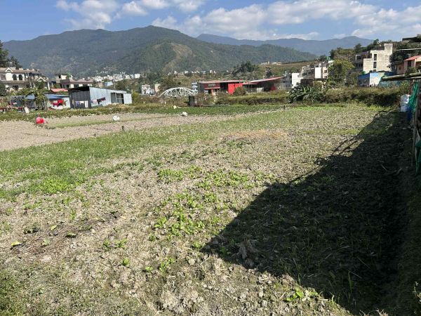 'URGENT' LAND FOR SALE AT CHEAP PRICE