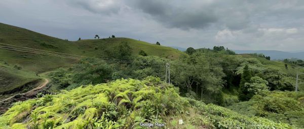 50-Ropani Land for Sale in Eastern Nepal – Ideal for Resorts &amp; Hotels