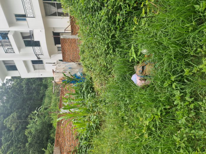 Land for sale at chandragiri 13 purano naikap