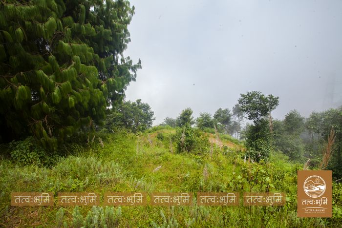 22 Ropani land on sale Ranipauwa, Kakani - Nuwakot