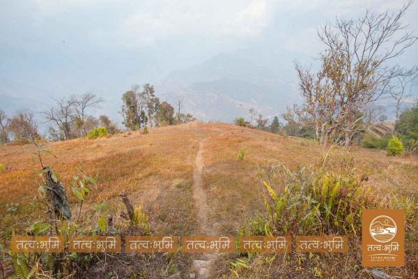 13 Ropani land for sale in Kamchok - Nuwakot