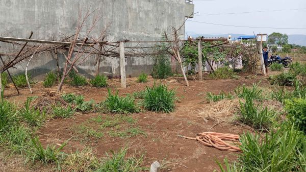 #urgent#Land for sale in Naranpur, chitawan