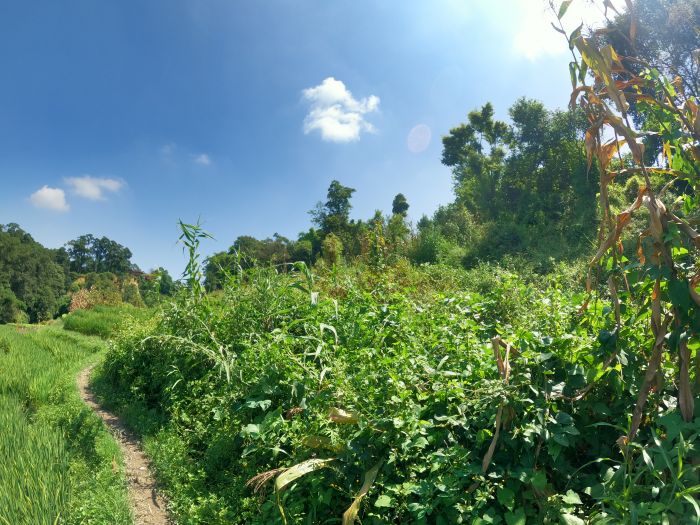 1 Ropani Land On Sale In Bugmati, Lalitpur