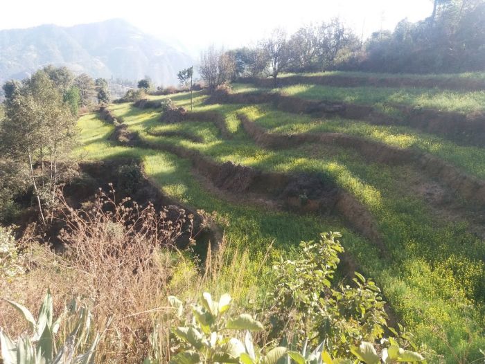 Land for sale in kathmandu