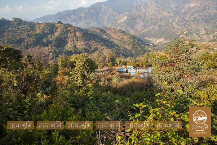 6 Ropani land on sale in Pudibhanjyag, Nuwakot