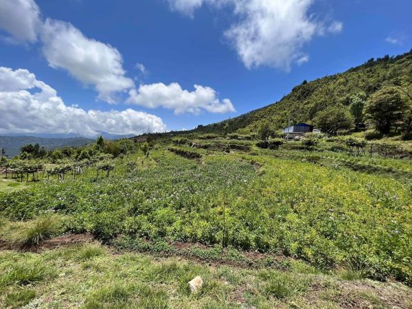 Land for sale Land for sale