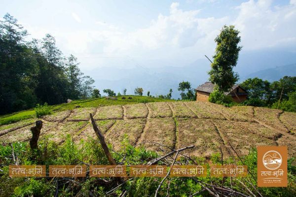 8 Ropani land for saie at Mathbhanjyag nuwakot.