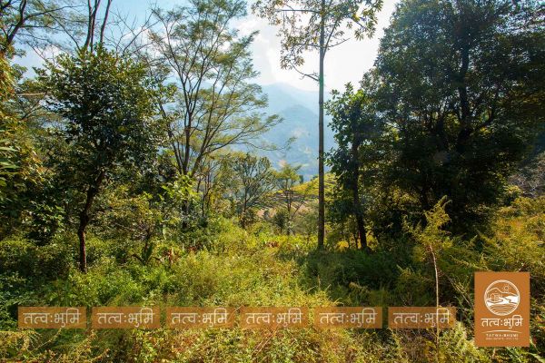 16 Ropani land for sale in Kalleri - Nuwakot.