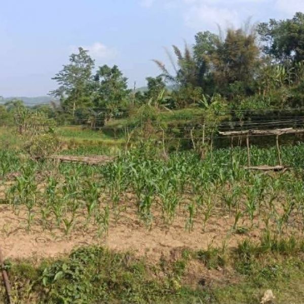 Prime Commercial Highway Front Land for Sale