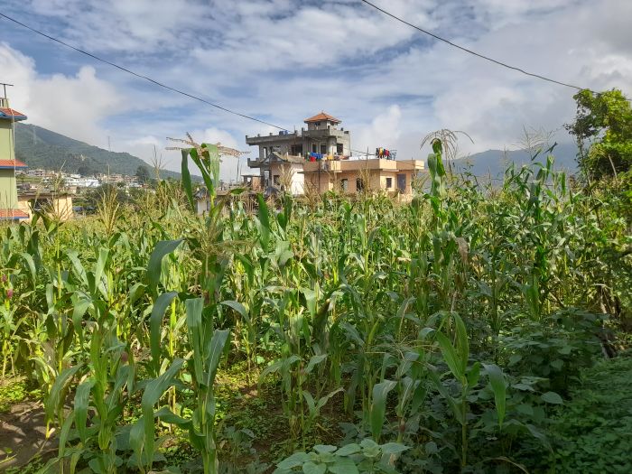 House Rent in sitapaila